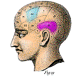 Head